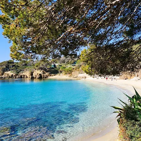Bernadette - Climatisee Pour 10 Personnes Avec Piscine A Hyeres-la Capte فيلة *