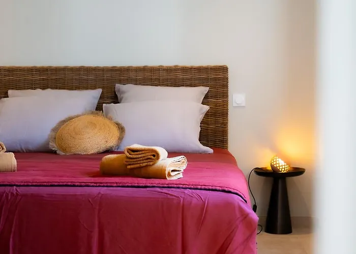 Bernadette - Climatisée Pour 10 Personnes Avec Piscine à Hyères-la Capte Villa